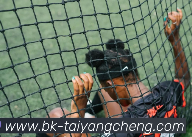 澳门太阳城品牌故事