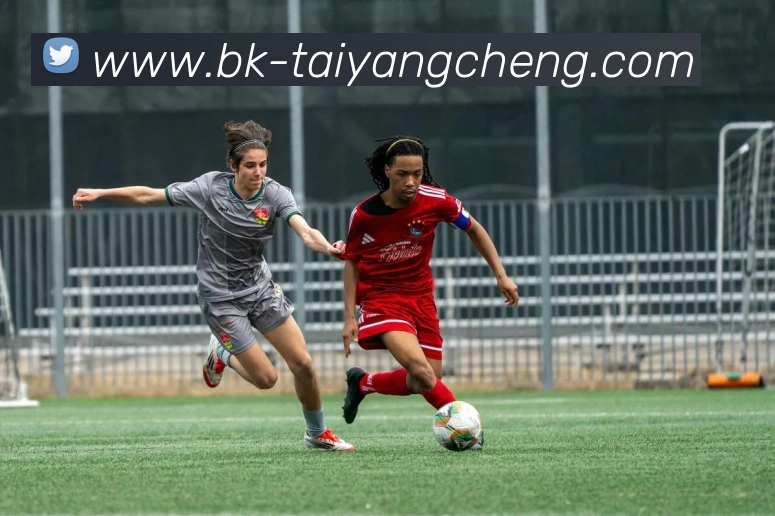 澳门太阳城服务体系